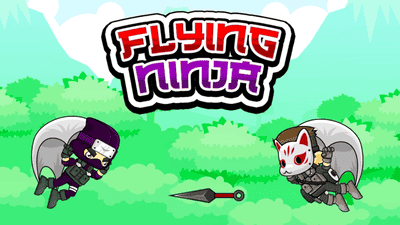 Flying Ninja